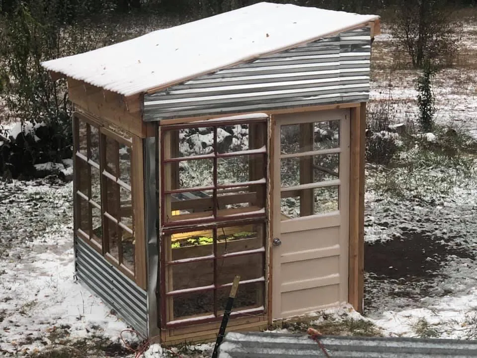 Greenhouse in winter