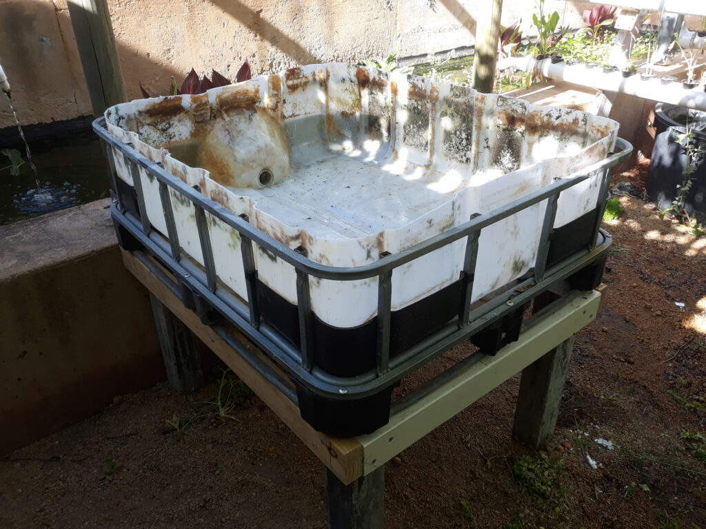 Cut IBC Tote on scrap wood stand