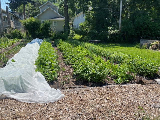 Grow Food, Not Lawns. 