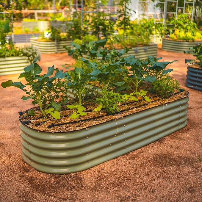 Raised bed