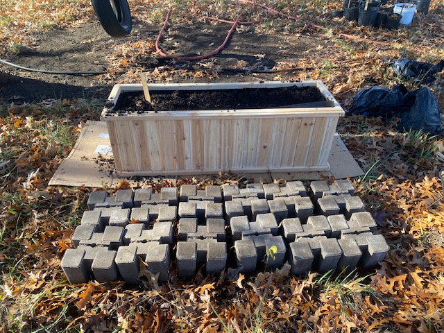 Cedar raised bed