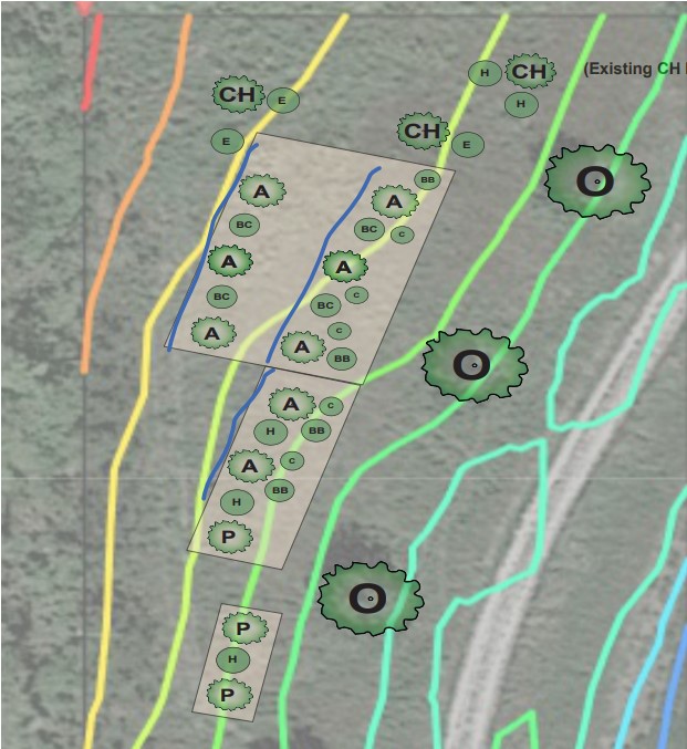 Permaculture Orchard design