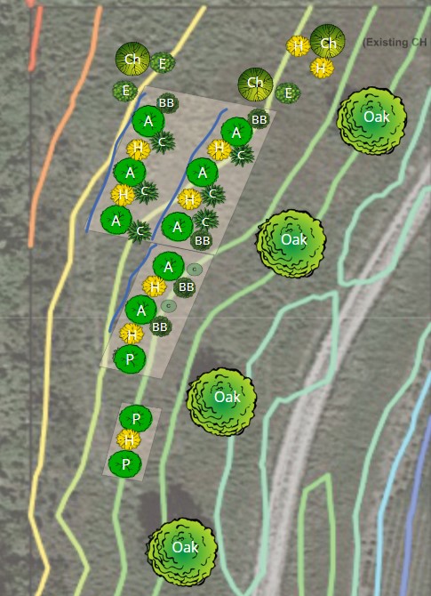 Permaculture Orchard design