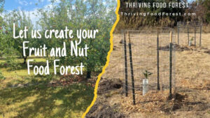 Thriving Food Forest - Fruit and Nut Food Fores
