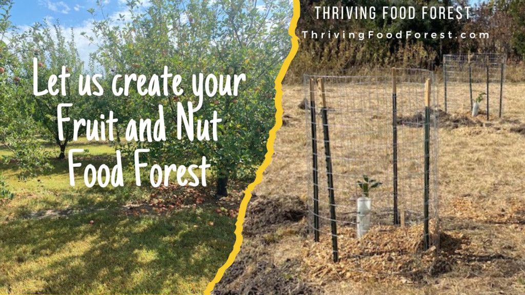 Thriving Food Forest - Fruit and Nut Food Fores