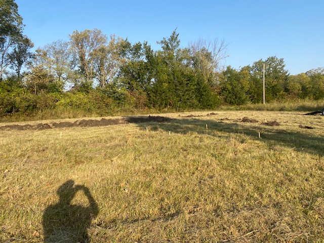 pasture marked out with contour