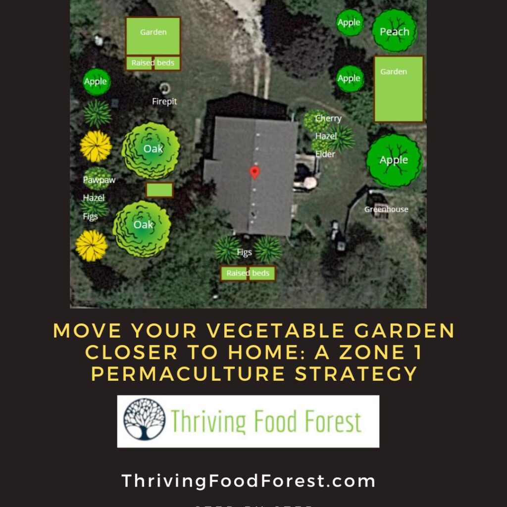 Zone 1 Strategy Thriving food forest