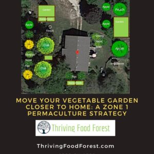 Zone 1 Strategy Thriving food forest