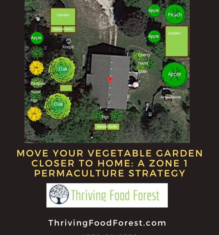 Move Your Vegetable Garden Closer to Home: A Zone 1 Permaculture Strategy